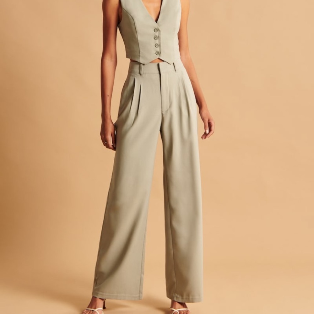 NWT❗️A&F Light Brown Tailored Wide Leg Pant - Picture 2 of 5